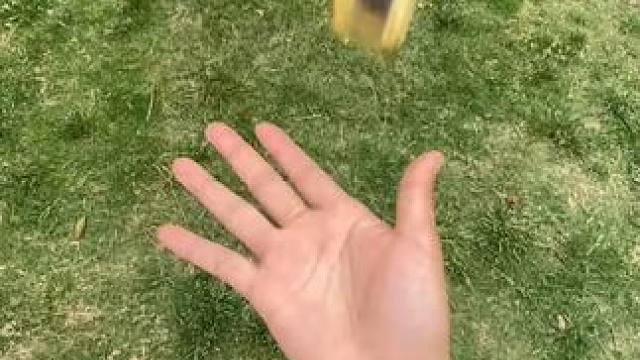 最后一个把我朋友迷成了制丈~ #有男生会拒绝这个玩具吗 #apex英雄