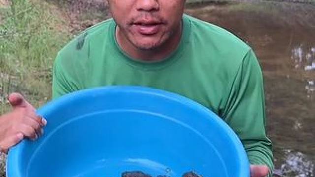 放生蛋蛋蛙我不后悔 #内容启发搜索 #美食 #泰国美食 #户外美食