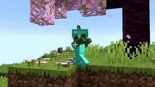 #我的世界 #Minecraft