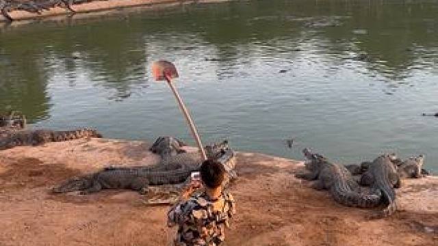 一把铲子被这小子提的明明白白的#农村创业养殖 #非专业人士请勿模仿