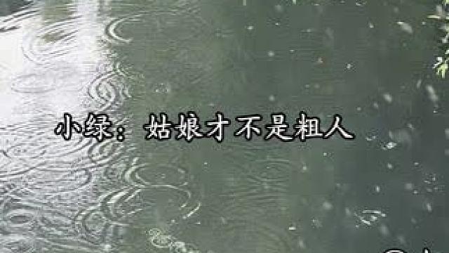 《穷鬼的上下两千年》小绿 顾楠 “小绿所适军伍之人多是···没有一个好下场。”#配音#无声卡#穷鬼的