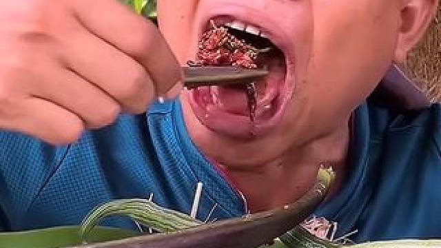 新鲜木蝴蝶辣拌️鲜牛肉 #美食 #泰国美食 #户外美食 #内容启发搜索