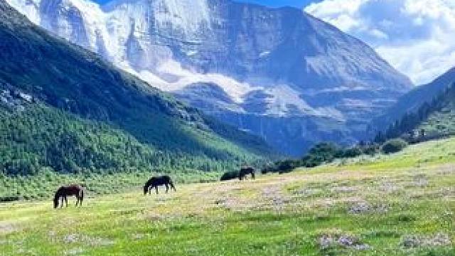 有一个地方叫做稻城 我要和我最心爱的人一起去到这里.#稻城亚丁  #机位标签激励计划  #万物皆可种