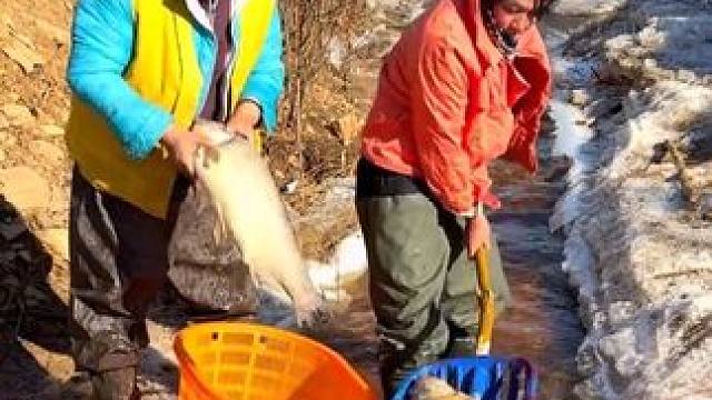 #上热门 #来一起抓鱼