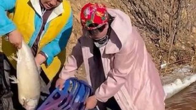 #大表哥抓鱼 #上热门