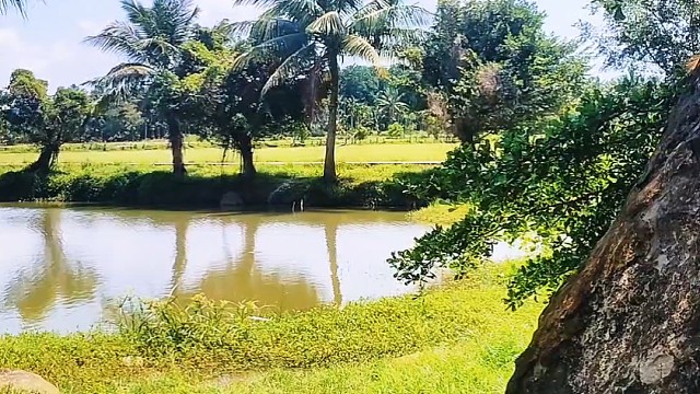 古诗词系列3，宋·黄庭坚的诗《牧童诗》