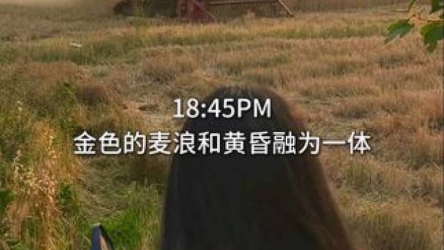 回村日记05｜麦子又熟了 #在拍一种很新的vlog #我的非标人生 #vlog十亿流量扶持计划 #我