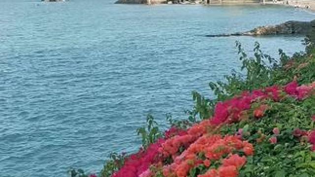 蓝天碧海，鲜花盛开，风景美丽！#鼓浪屿#厦门风景。