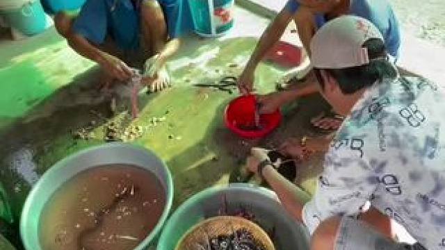 东南亚特色美食 #我是美食创作者 #绿色食品 #蒜苗炒肉菜谱 #卤肉 #这吃法真的忍不了了