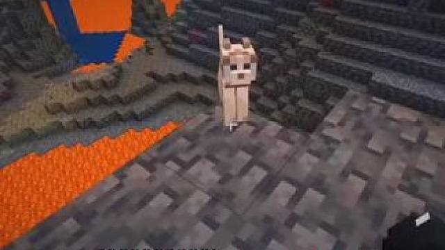 #我的世界 #Minecraft