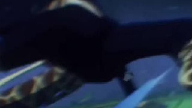 航海王壮志雄心：长脖鹿还是值得入手的#航海王壮志雄心#航海王壮志雄心手游