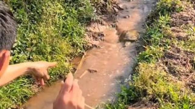 我发布了一个新视频，快来围观吧！