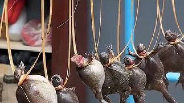 妈妈给我做风干蛙 #美食 #泰国美食 #户外美食 #内容启发搜索