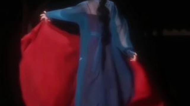 山鸟与鱼不同路 从此山水不相逢