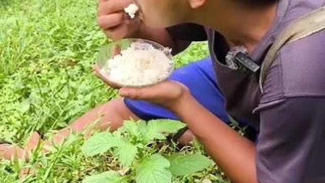 东南亚野菜哥 #东南亚美食#东南亚野菜哥