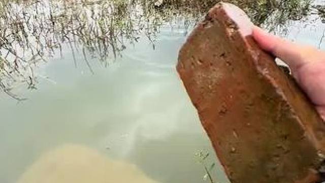 能爬上去不#钓鱼的乐趣只有钓鱼人懂 #测试 #钓鱼 #钓鱼人就是这么疯狂 #钓鱼人