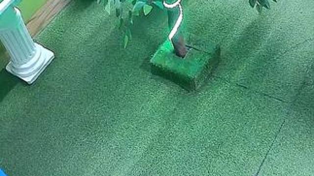 #密室逃脱#萌娃日常#玩耍时间#小小科学家