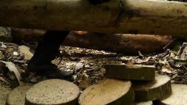 #农村生活 #三农  #美女  #乡村生活