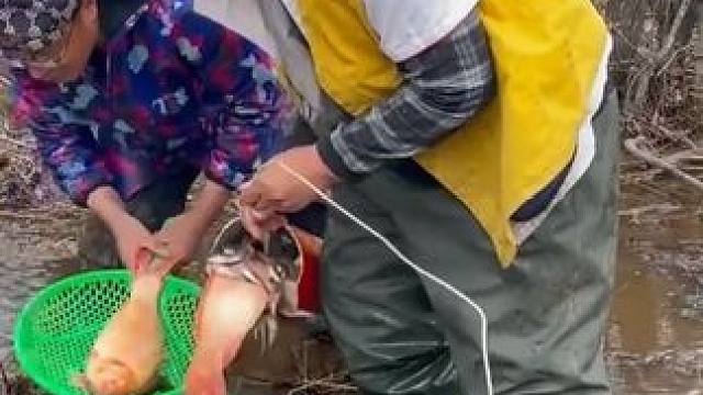 #来一起抓鱼 #上热门