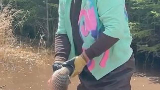 #来一起抓鱼 #上热门