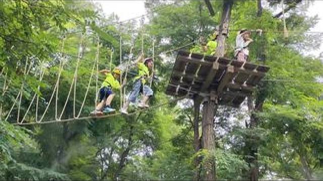 我发布了一个新视频，快来围观吧！