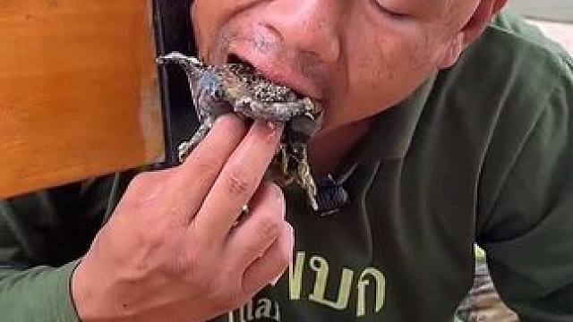 满满一肚子的蛙籽 #美食 #内容启发搜索 #泰国美食 #户外美食