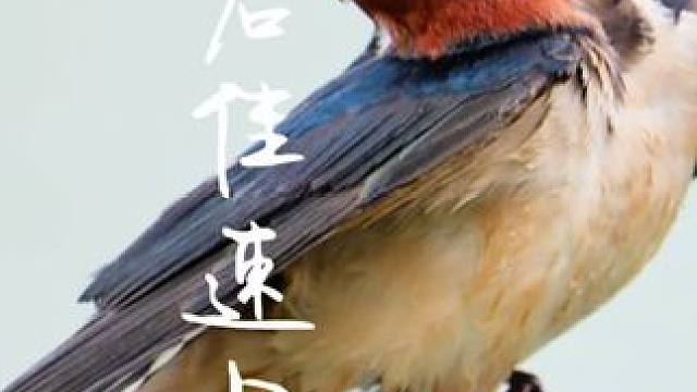 在我们这里画画抬笔是判刑的哦！必须一笔不断线呀！ #速写 #美术生 #速写 #想画