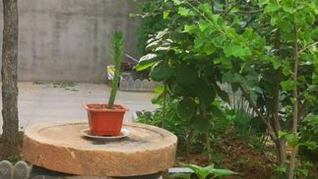 #初夏的味道 ！