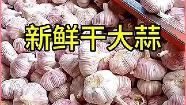 丰收的大蒜让人喜悦~