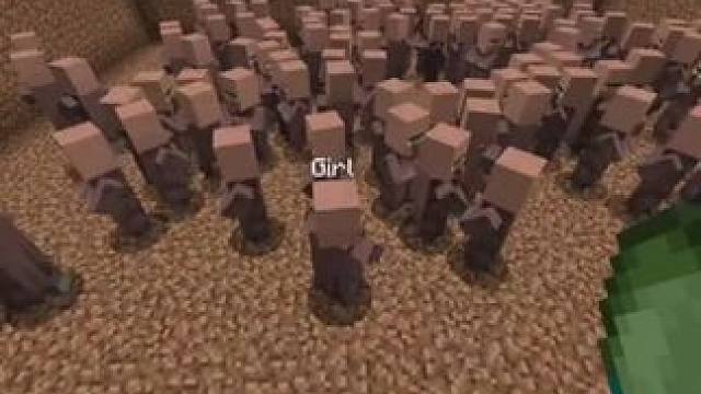 #我的世界 #Minecraft