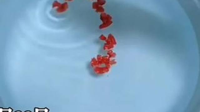 我发布了一个新视频，快来围观吧！