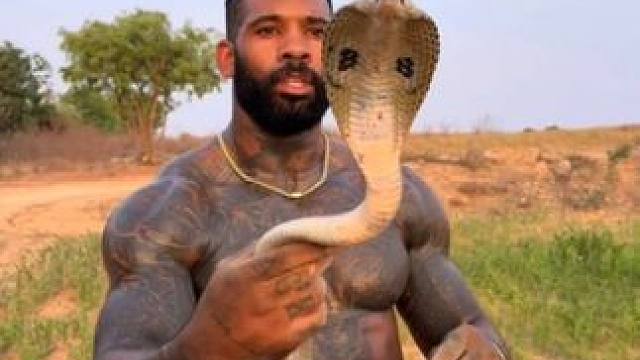 国外高手专业演示 #国外视频分享 #野生动物零距离 #专业操作请勿模