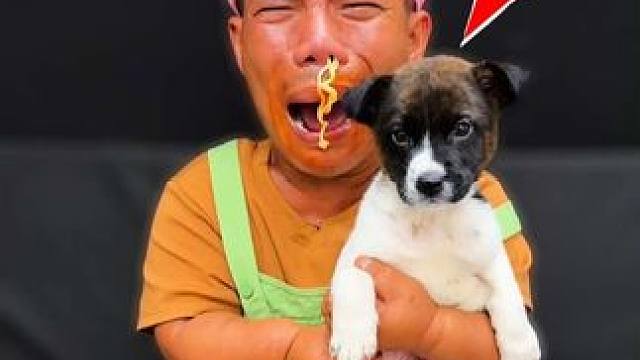 ToRung搞笑 小哥的宝贝狗狗
#搞笑#解压#看一次笑一次 #看一遍笑一遍