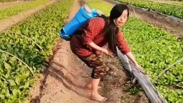 山卡卡里的农村大姐学费开直播每天收获满满您还在恐播怕播不敢开播开播了不知说什么吗#记录真实生活 #农