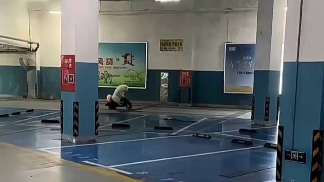 跟司机去那车，竟偶遇这一幕，太可爱了