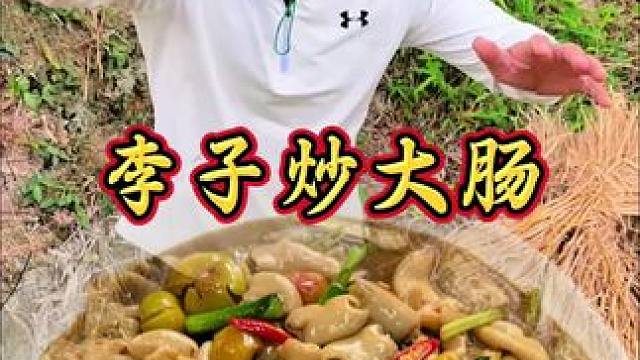 春天李子炒大肠酸辣开胃 大肠脆弹飙汁 真是让人欲罢不能 #农村美食记录生活 #新农人计划 #乡村味道