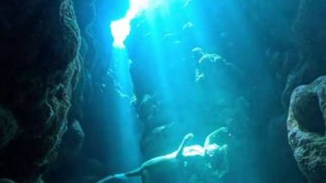 海底世界真奇妙 #国外视频分享 #水下世界 #海底世界 #潜水女孩