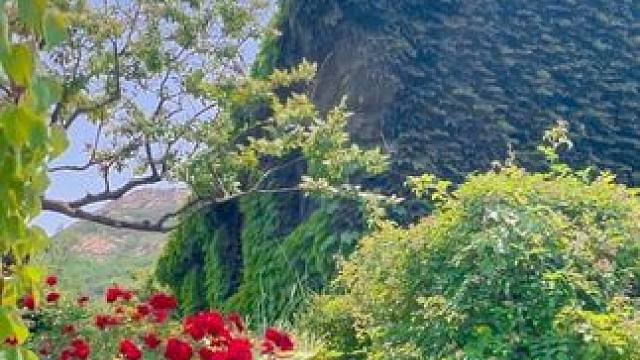 我在龙口的大山里，竟然拍到了现实版的绿野仙踪～ 看到这治愈系绿色，仿佛被困在了这里，不想离去#龙口#