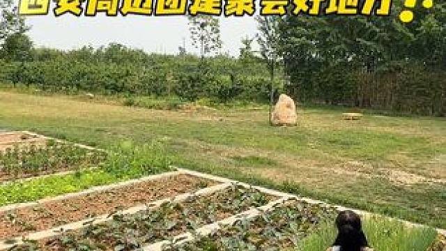 西安周边人少景美，可以喝茶摘菜喂鸽子，吃地道四川土菜的好地方，太适合团建聚会了！#团建聚会#西安周边