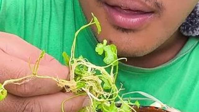 东南亚野菜哥 #农产品 #快来一起尝个鲜 #我是吃货 #生吃 #新农人计划