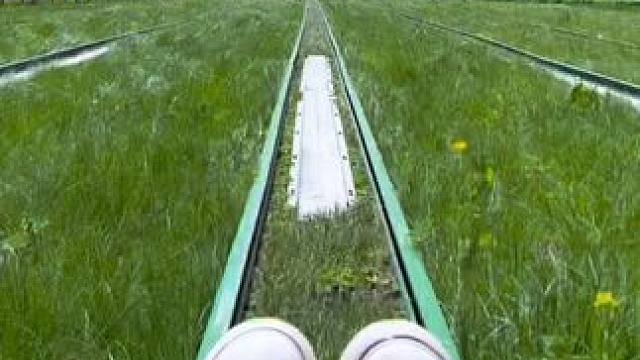 体验到了懒羊羊的快乐#新疆 #伊犁