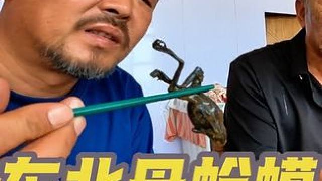 东北的母蛤蟆太香了，两口一个真过瘾#说喝就喝 #嘎嘎香啊