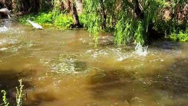 老表快来钓鱼了！#真实户外 #钓鱼人就是这么疯狂野钓