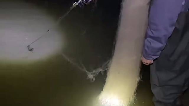 #捕捞现场 #河边随拍 #丝网捕鱼 #户外捕鱼