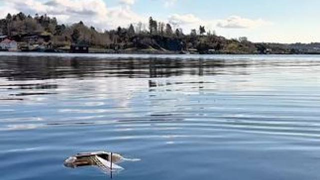 朋友：完了，这个是真想要~ #乐高 #海贼王