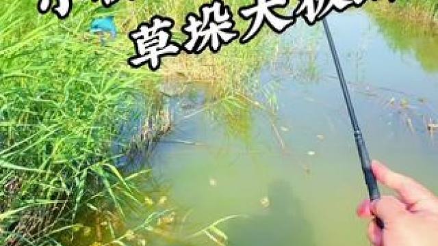 小桥草垛守大板 #钓鱼#野钓#野河野钓#蓝鲫青春版#老坛甜薯