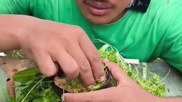 东南亚野菜哥 #我是吃货 #户外美食 #农村户外美食