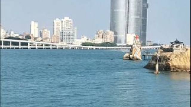 #手机摄影 #鼓浪屿