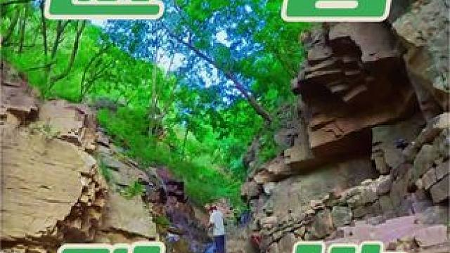 夏日的美好，是风用了心。
#夏天也需要光合作用 #养在九峰山 #夏天