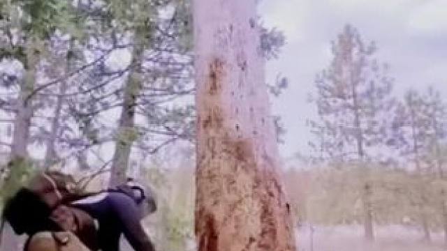 我发布了一个新视频，快来围观吧！